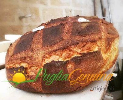 Pane di Altamura dop 5kg