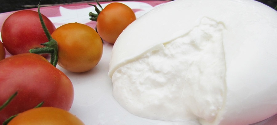 Burrata pugliese, origini, lavorazione e caratteristiche