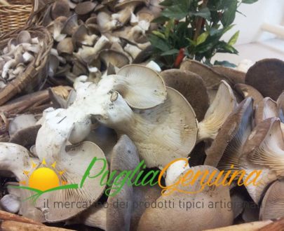 Funghi cardoncelli freschi