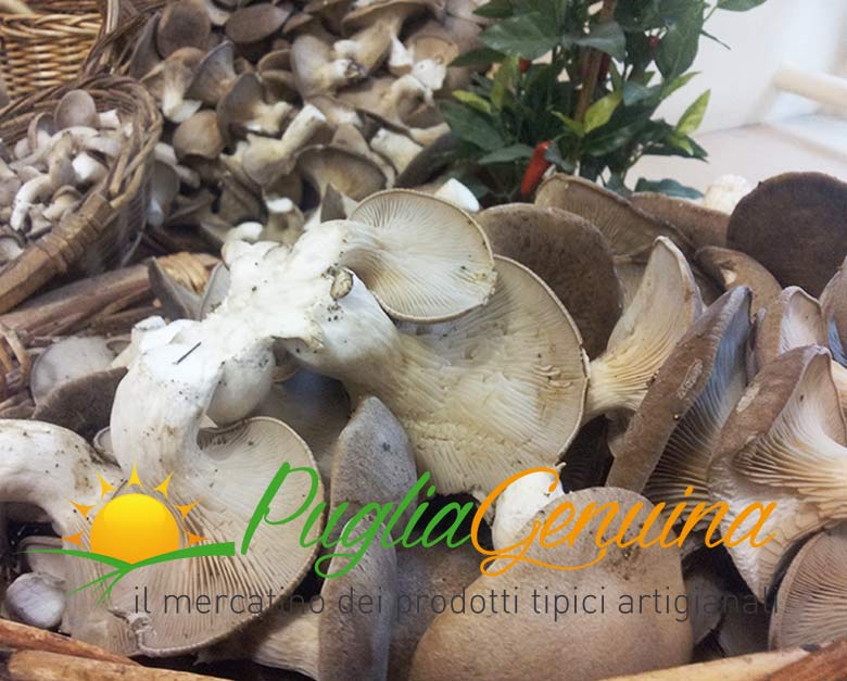 Funghi cardoncelli freschi