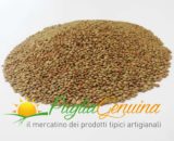 lenticchia murgia