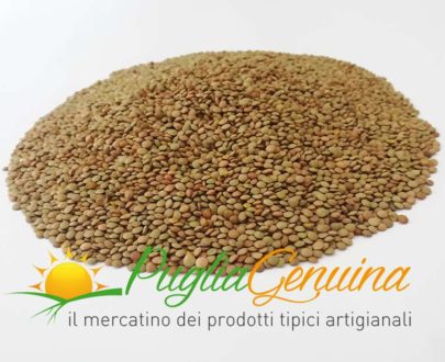 lenticchia murgia