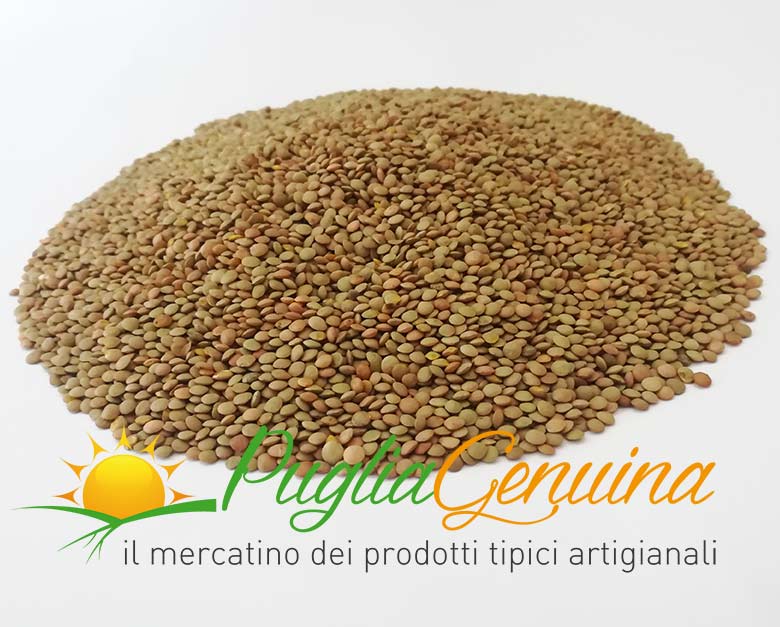 lenticchia murgia